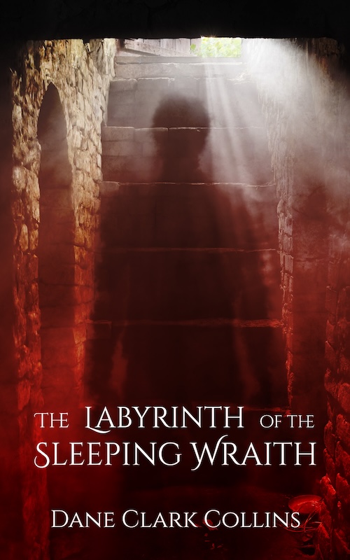 The Labyrinth of the Sleeping Wraith cover